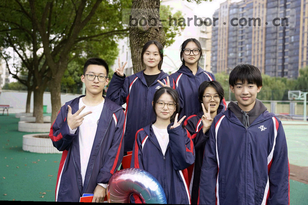 同一支球队多个赛季数据折线纵向排列的示意图